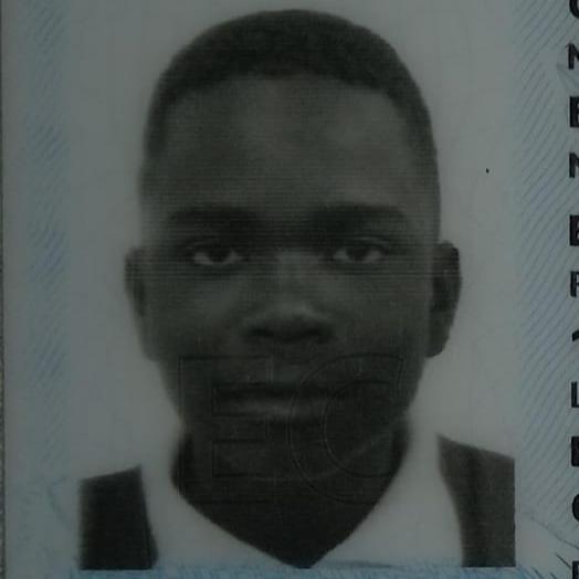 User Image