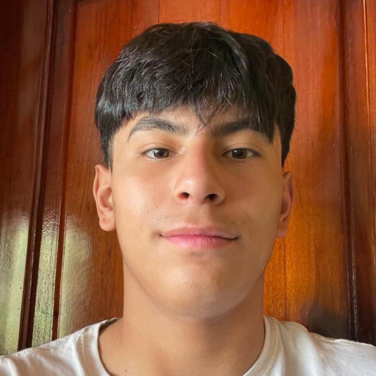 User Image