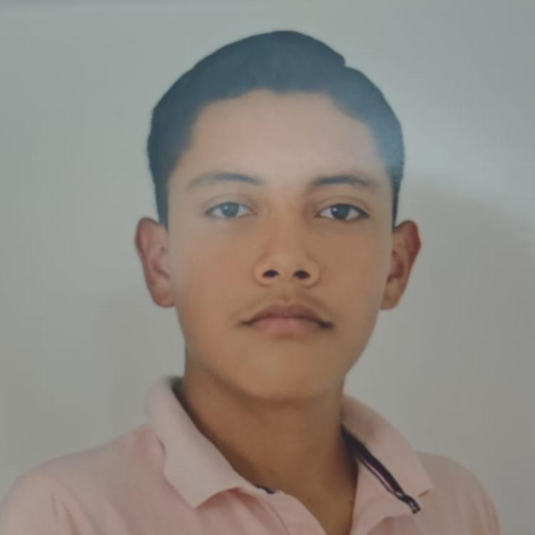 User Image