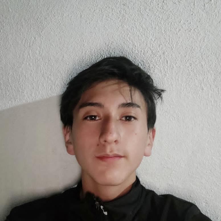 User Image