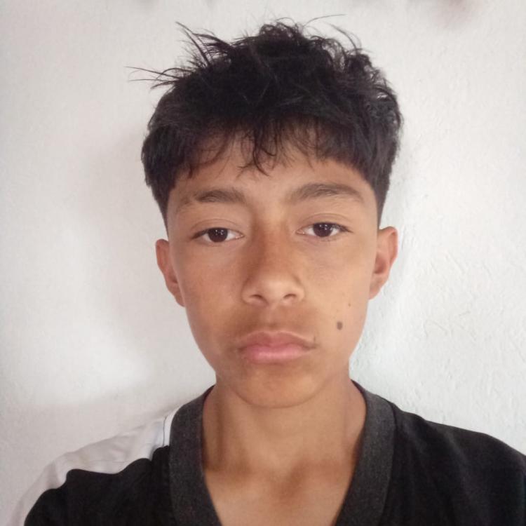 User Image