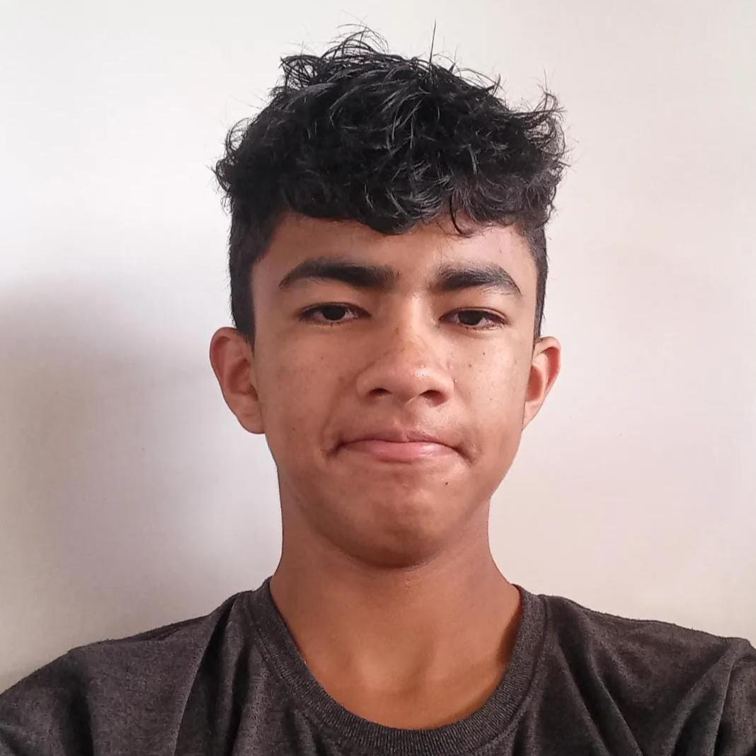 User Image
